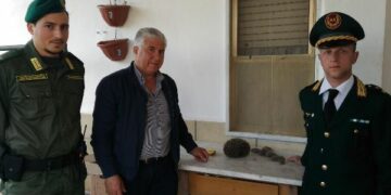 Le guardie zoofile “Accademia Kronos” Crotone recuperano famiglia di ricci