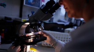 Lotta al Cancro- dalla Svizzera un virus per attaccare i tumori