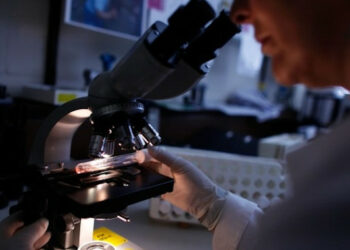 Lotta al Cancro: dalla Svizzera un virus per attaccare i tumori