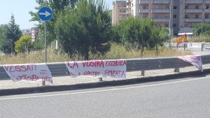 Manifestazione dei lavoratori della Vigilanza Diurna e notturna di Catanzaro3
