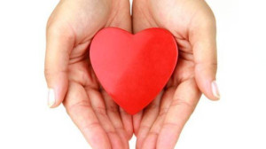 Presentazione del Gruppo AIDO di Cirò-Cirò Marina a Palazzo Porti1