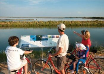 Pubblicato il bando per 10 viaggi studio al Forum Mondiale dei Giovani MaB