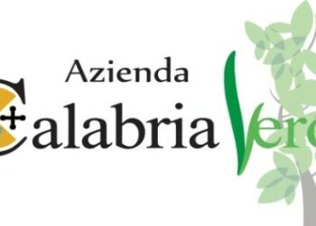 500 piante tra centro storico e lungomare di Rossano