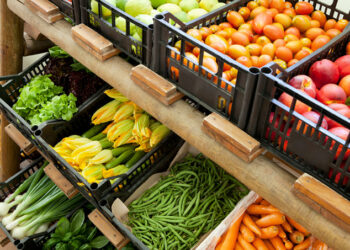 Controlli sul territorio della provincia di Crotone: multe ai venditori abusivi