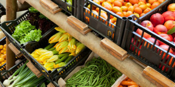 Controlli sul territorio della provincia di Crotone: multe ai venditori abusivi