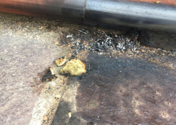 Belvedere Spinello: ragazzino brucia nido d’ape, individuato dai Carabinieri