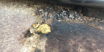 Belvedere Spinello: ragazzino brucia nido d’ape, individuato dai Carabinieri