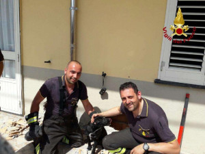 Cane intrappolato nell'intercapedine di un muro a Isola Capo Rizzuto, salvato dai Vigili del Fuoco1