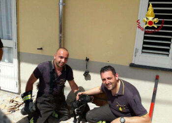 Cane intrappolato nell’intercapedine di un muro a Isola Capo Rizzuto, salvato dai Vigili del Fuoco