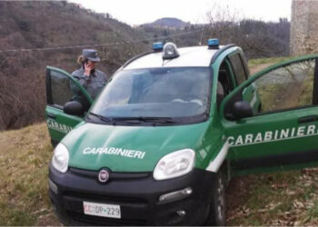 Denunciate due persone a Cotronei per invasione di un terreno di proprietà del comune