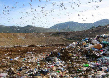 L’Europa sanziona la Calabria per la presenza di 23 discariche irregolari e pericolose