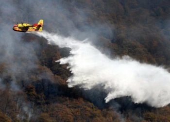 La Calabria brucia, la Regione prende tempo: allarme Vigili del Fuoco