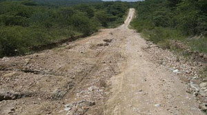 Oltre un milione di euro destinati per le strade agricole di Cirò Marina, Petilia e Belvedere