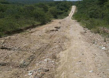 Oltre un milione di euro destinati per le strade agricole di Cirò Marina, Petilia e Belvedere-Casabona