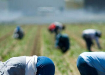 Operazione “Spartaco”, denunciato imprenditore per estorsione e sfruttamento verso i dipendenti