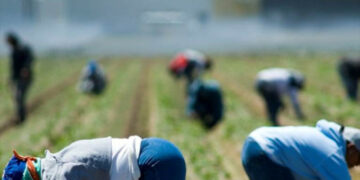 Operazione “Spartaco”, denunciato imprenditore per estorsione e sfruttamento verso i dipendenti