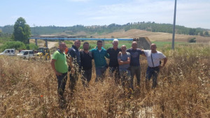 Roberto Torchia- Quando il Consorzio fa da se, fa per tre1