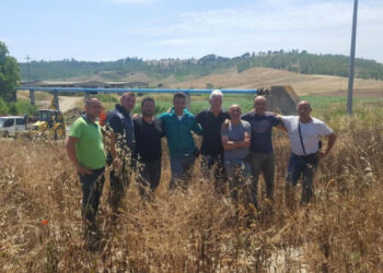 Roberto Torchia: Quando il Consorzio fa da se, fa per tre