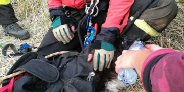 Salvato cane dai Vigili del fuoco, caduto in un dirupo e disperso da tre giorni