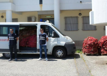 Sequestrati dalla Guardia Costiera 5 chilometri di reti illegali nel Porto di Cariati