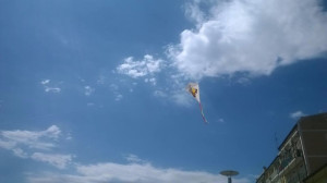 Volano in alto gli Aquiloni nel cielo di Crotone nel ricordo di Davide