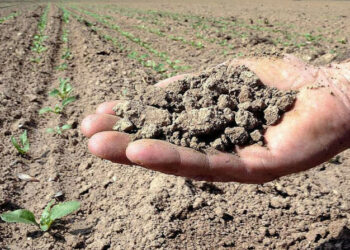 Siccità irrigazione e cambiamenti climatici