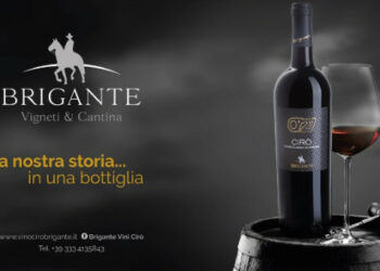 Argento al Vino Cirò rosso dell’Azienda Brigante al XVI Concorso Internazionale ”Selezione del Sindaco”
