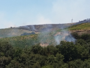 Cirò, Brucia la collina del Mancuso, a rischio i vigneti Doc2