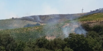 Cirò, Brucia la collina del Mancuso, a rischio i vigneti Doc