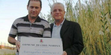Cirò Marina, Ripulita l’area protetta dove cresce la rara Astragalus boeticus l.