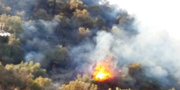 Cirò: la collina degli ulivi secolari in zona Catena, distrutta da un vasto incendio