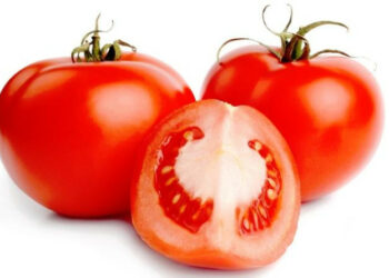 Elogio dei pomodori, straordinari contro i tumori