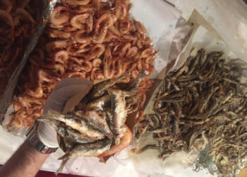 Gamberoni e Calamari? Argentini e Decongelati, il Turista in Calabria deve saperlo