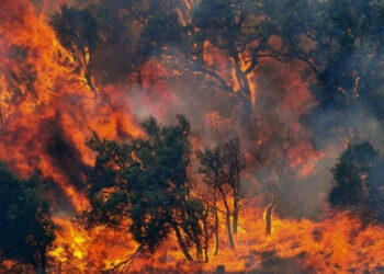Gli incendi segnalati oggi in Calabria sono stati 128, di cui 84 spenti