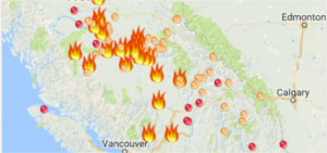 Google lancia SOS Alerts per situazioni di emergenza