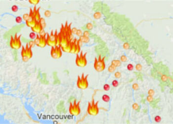 Google lancia SOS Alerts per situazioni di emergenza