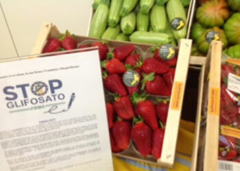 L’inchiesta di “Le Monde” conferma che Glifosato Zero attuato da Regione Calabria è una scelta vincente