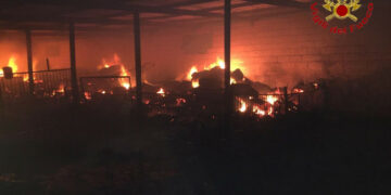 Incendio in una azienda agricola a Rocca di Neto, salvate 750 pecore dai Vigili del Fuoco