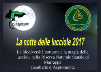 “La Notte delle Lucciole 2017”  del Reparto Carabinieri della Biodiversità