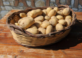 La Patata della Sila a rischio con il trattato CETA tra Canada e UE, grave pericolo per la nostra Regione