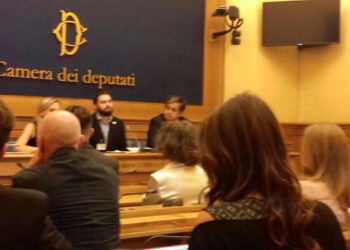 La guerra in Donbass arriva al Parlamento Italiano