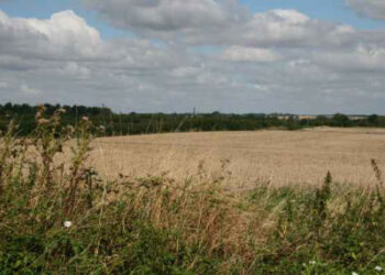 L’accesso dei giovani calabresi al settore primario e contrastare l’abbandono dei suoli agricoli