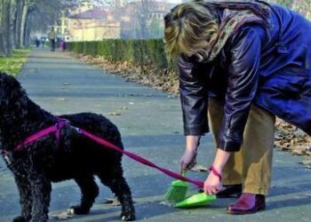 Mai più deiezioni canine per le strade di Cariati: l’ordinanza del Comune rivolta ai proprietari