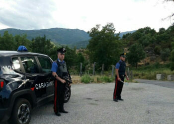 Numerosi controlli e 11 denunce dei Carabinieri della Compagnia di Petilia Policastro