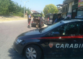 Numerosi controlli e 11 denunce dei Carabinieri della Compagnia di Petilia Policastro