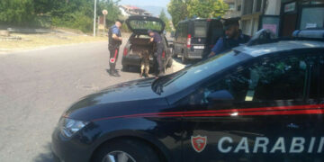 Numerosi controlli e 11 denunce dei Carabinieri della Compagnia di Petilia Policastro