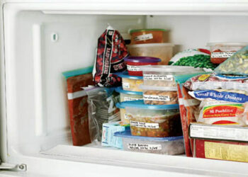 Trovati 18 chili di merce surgelata priva della data di scadenza in un Ristorante