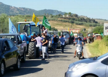 Un successo la ”Marcia per la Terra e la Salute” sulla SS106 per dire No alla discarica nella Valle del Nika