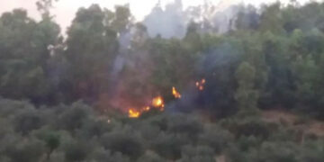 Un’altra giornata di fuoco a Cirò: sono andati in fiamme ettari di bosco di Eucalipti in zona Romanò