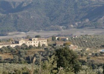 Prende sempre più forma la VI edizione del Premio Letterario Caccuri